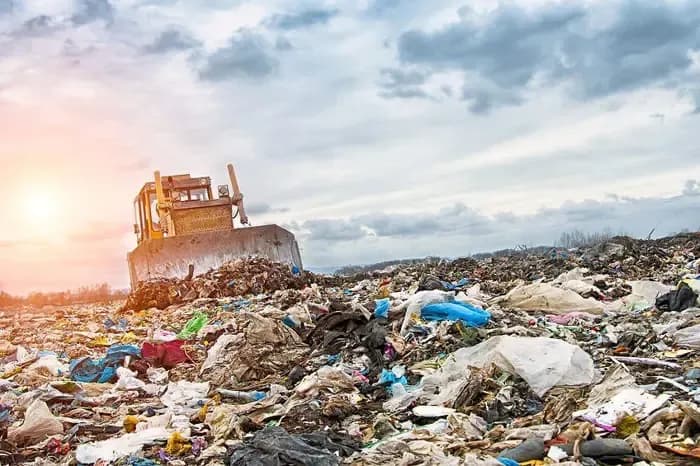 Tech tackles food waste