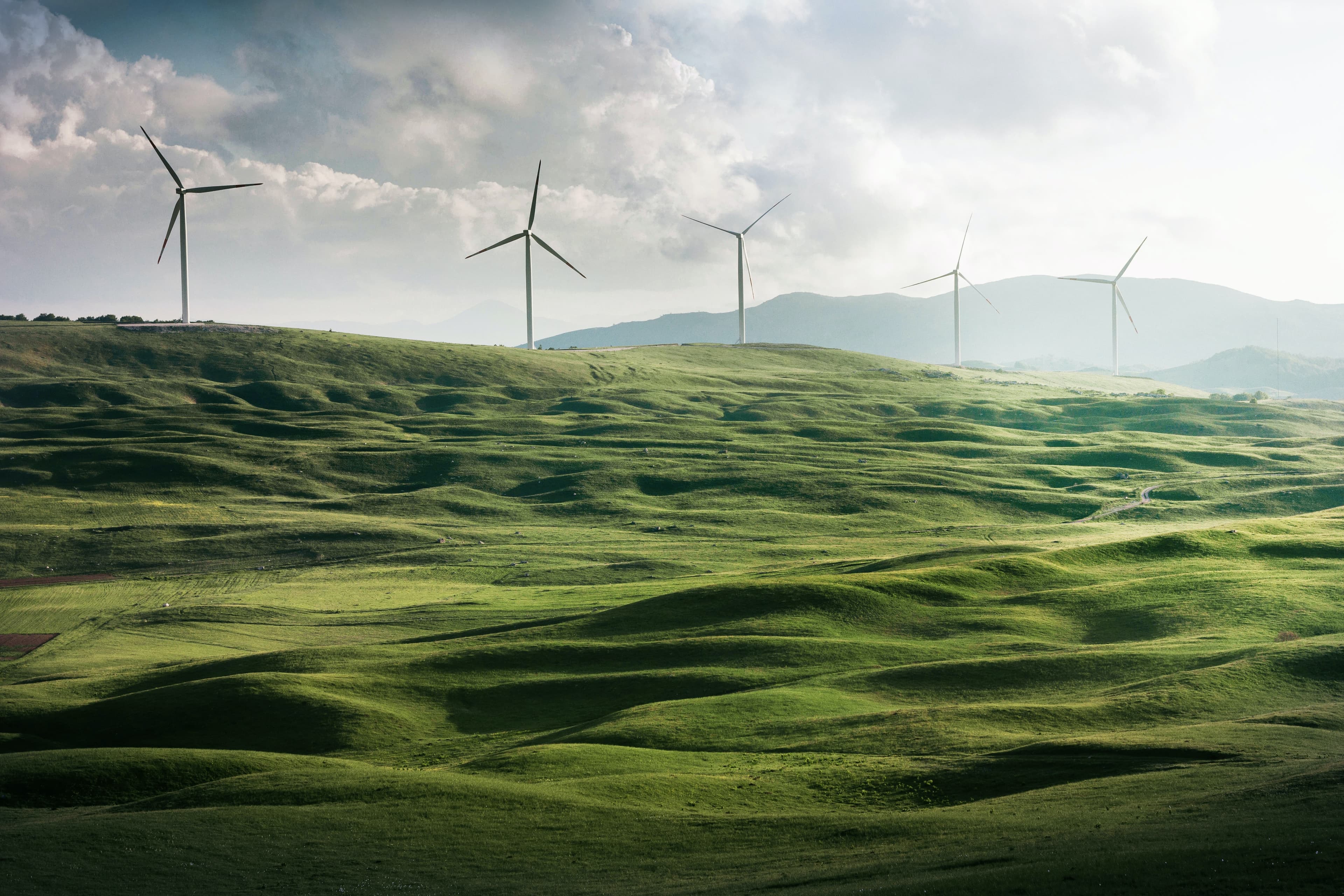 Picking the ideal PR firm for your green tech company