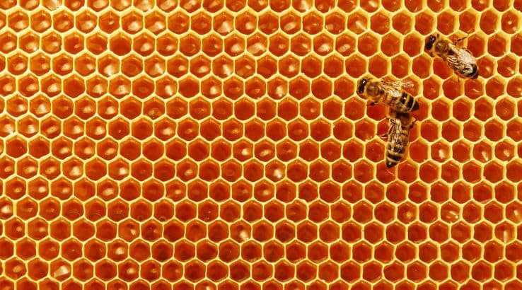 IOTA launches Pollen update: End of an era, start of another