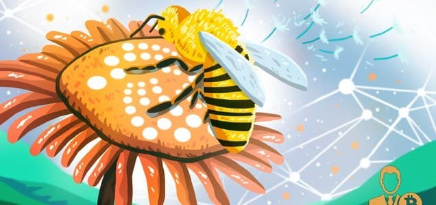 IOTA unveils first testnet of fully decentralized network Pollen - Coin Rivet