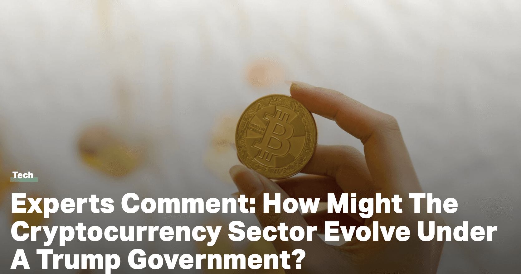 Experts Comment: How Might The Cryptocurrency Sector Evolve Under A Trump Government?