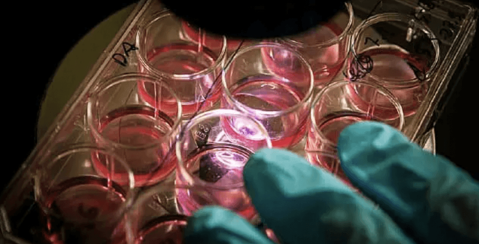 Virtual nurse app Sense.ly raises $8 million from investors including the Mayo Clinic