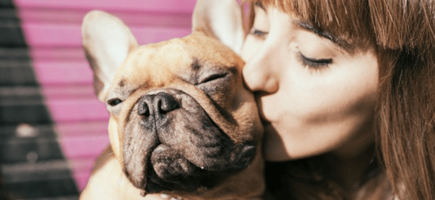 The Results Are In! These Are the Most Popular Dog Breeds in the U.S. Right Now