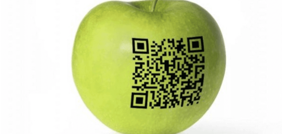 Understanding How IBM And Others Use Blockchain Technology To Track Global Food Supply Chain