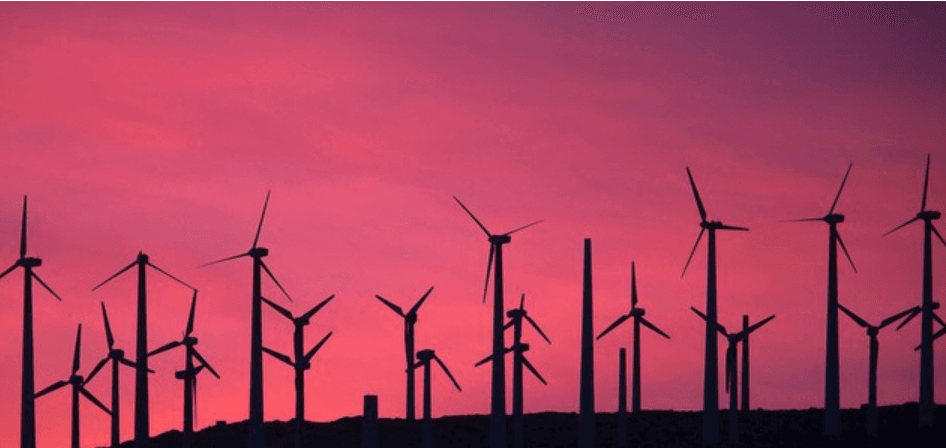 IBM and Veridium Labs partner to use blockchain technology to improve carbon-credit markets