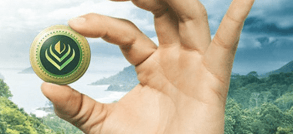 Blockchain alliance aims to track carbon credits to fight climate change