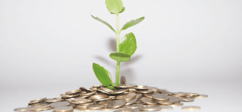 Startup Raises $10 Million to Create Digital Vegan Economy