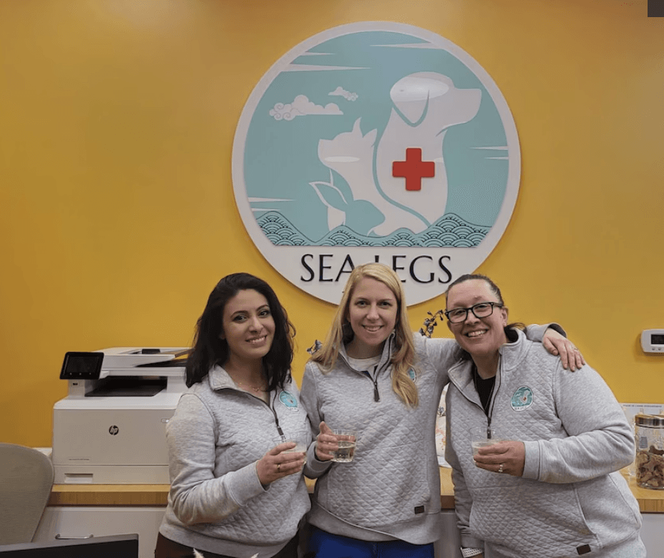 Woman-owned Mass. veterinary clinic strives for holistic approach to pet care