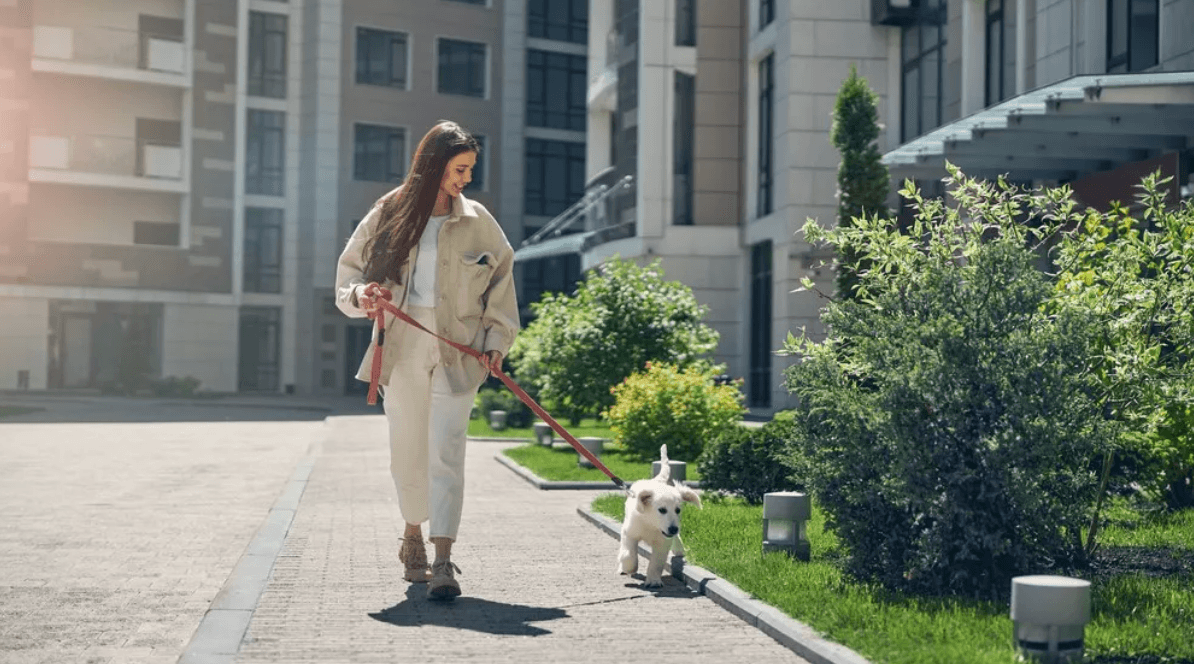 I used this app for two weeks and made money just by walking my dog