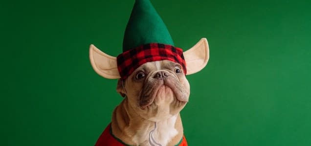 Stay Safe While Holiday Shopping Online