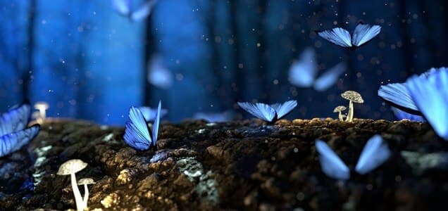 IOTA not just building a ‘faster horse’ with Chrysalis, claim Founders