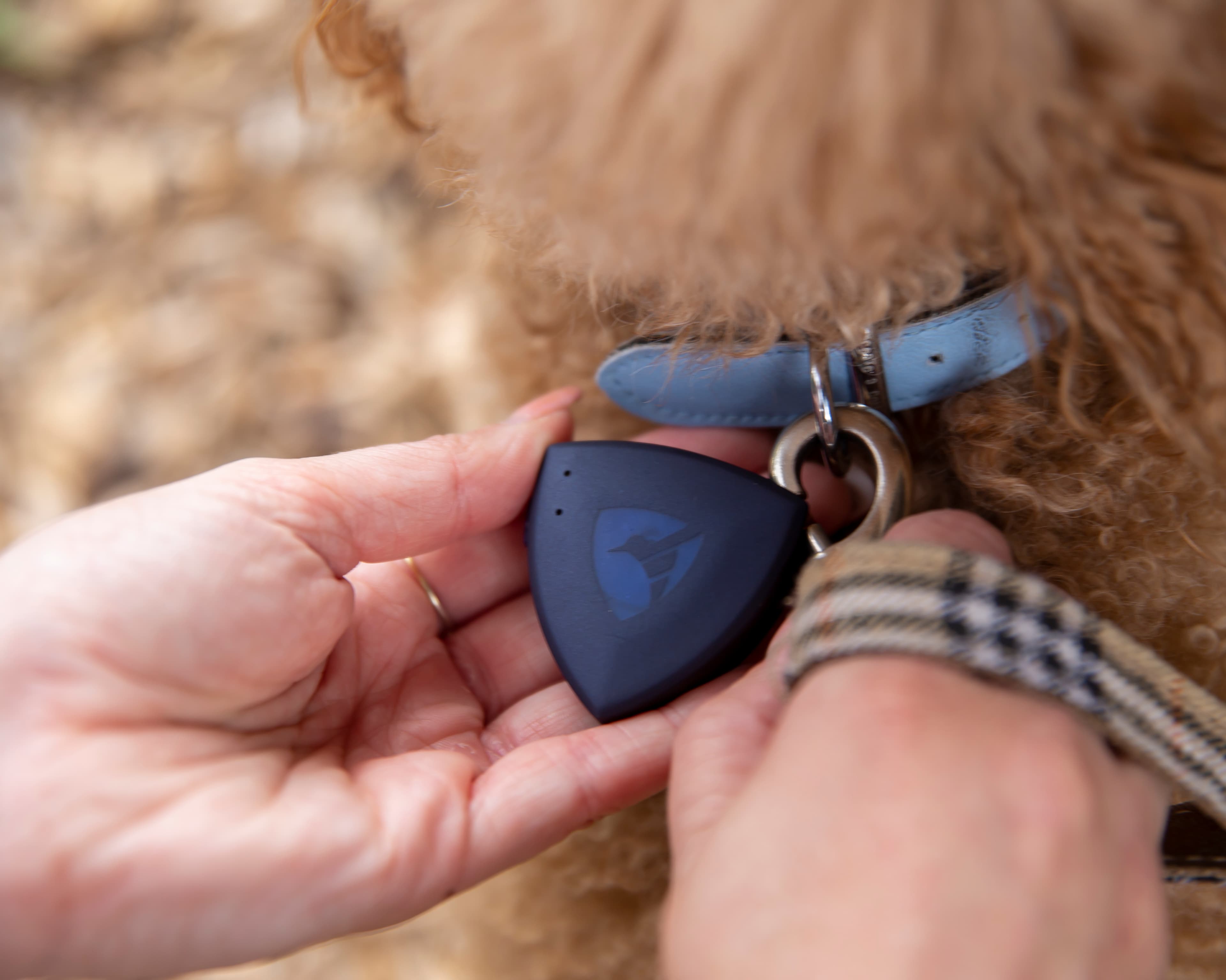 Next-generation GPS tracker "AirBolt" that tracks important luggage and pets