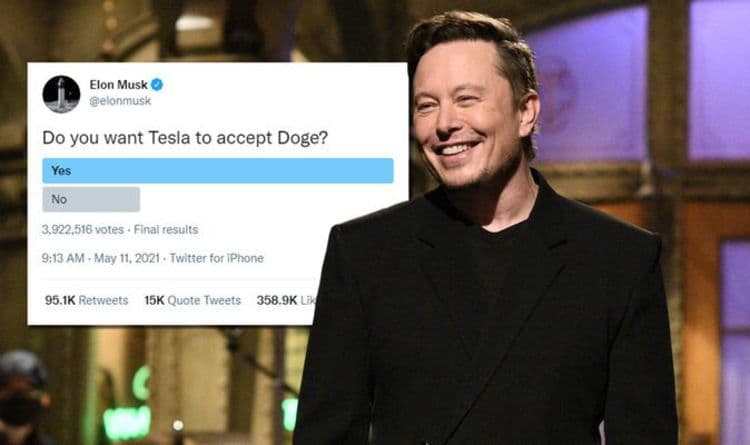 Will Tesla accept Dogecoin after Elon Musk drops Bitcoin support? 'Cant be ruled out'