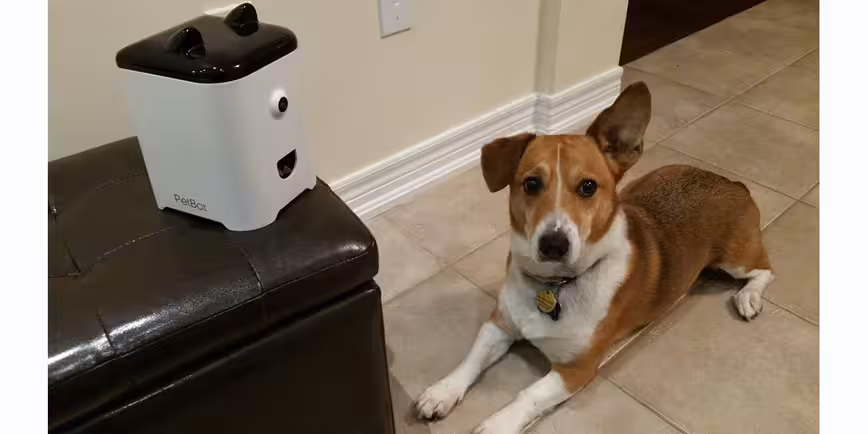 PetBot uses