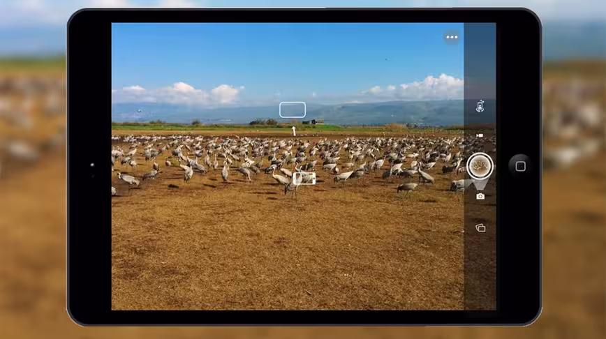 Camera51 Arrives on iOS