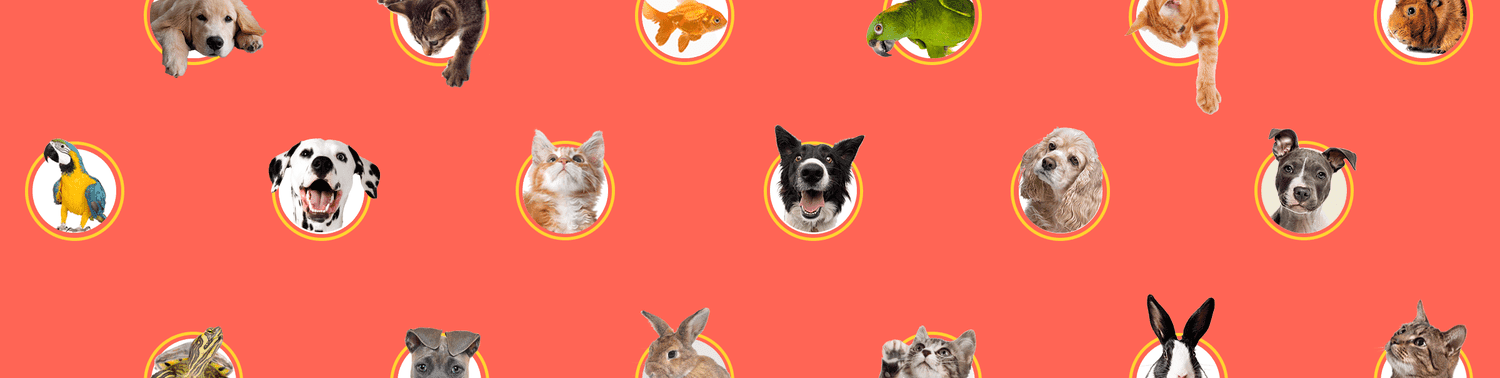 Pets