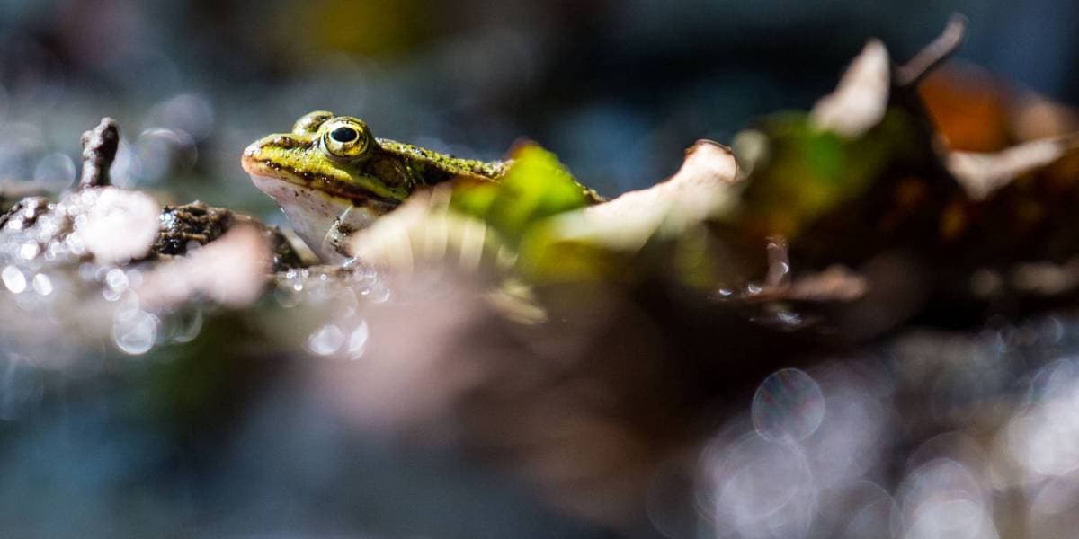 Developer Startup JFrog Scores $165 Million In Funding | Fortune