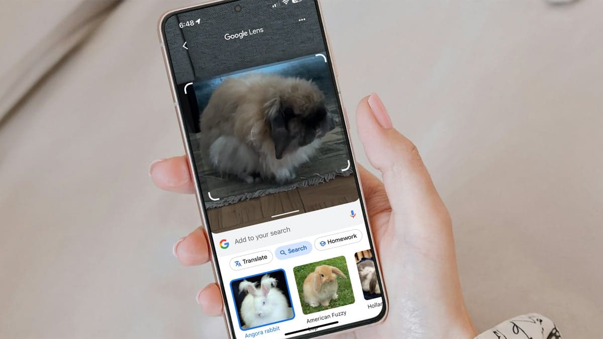 How to Use Your Phone’s Camera to Search