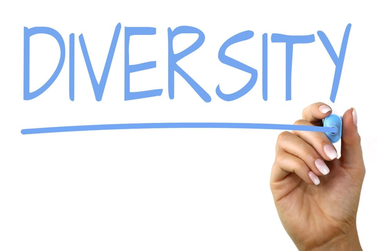 You know that “V” in diversity? by Dana Poleg, Vice President of Marketing at Kaltura